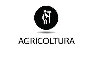 agricoltura